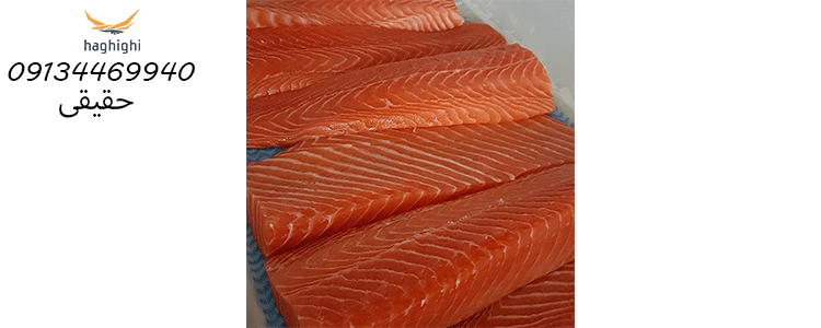 انواع ماهی سالمون