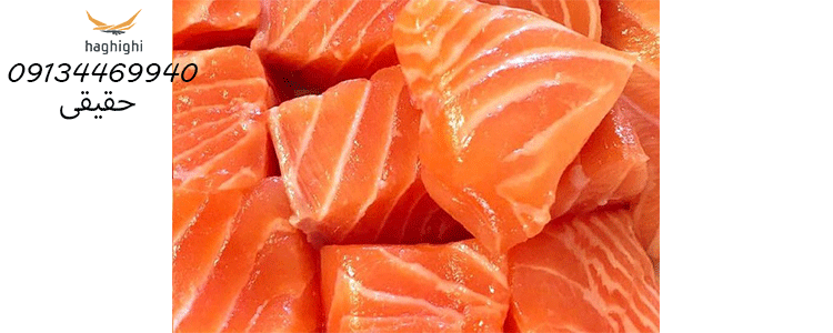 قیمت روز ماهی سالمون چقدر است؟